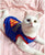 BREATHABLE SUPERMAN CAT VEST!